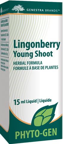 Lingonberry Young Shoot