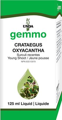 Crataegus oxyacantha