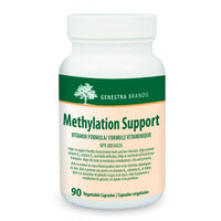 Methylation Support